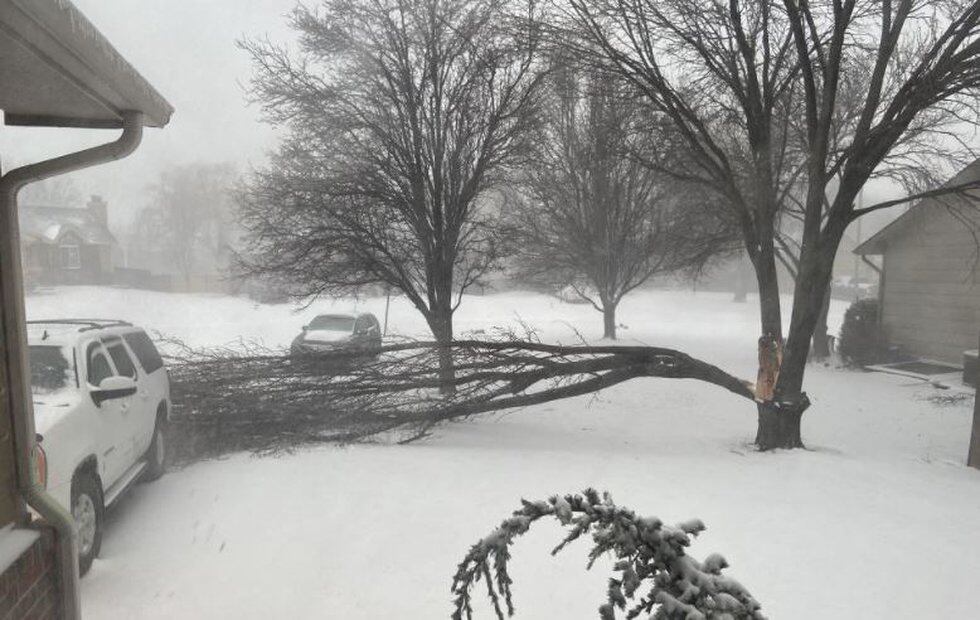 Photo taken by Chris of a fallen bradford pear tree outside his home near Maize, Kan.