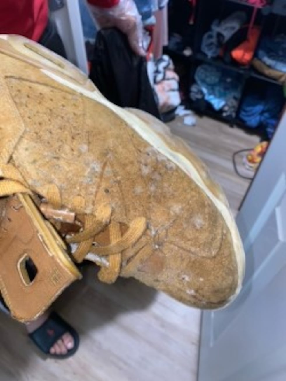 Phillips sent the following photo to the St. Luke's Apartment in a request to remediate what...