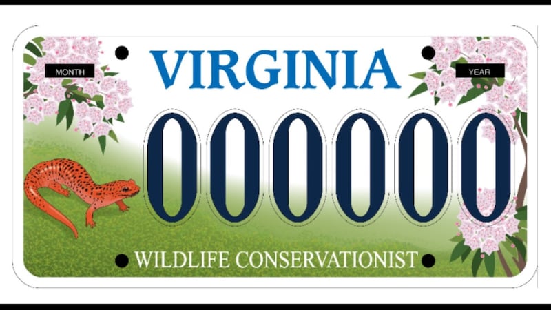 License plate.