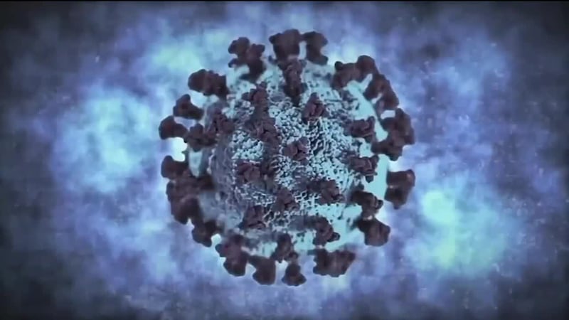 Virginia has reached over 2 million COVID-19 cases since the pandemic began in March 2020,...