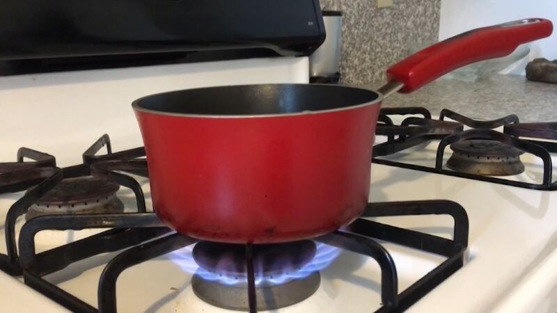 A U.S. agency is considering a ban on gas stoves.