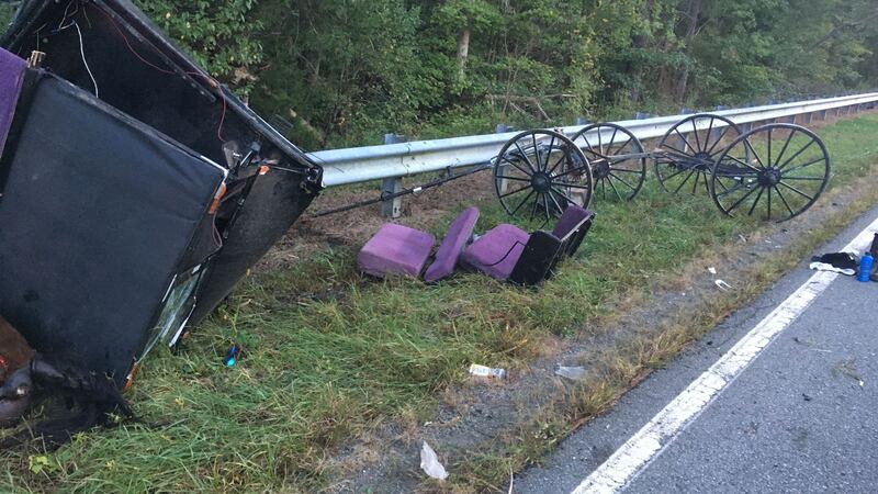 Horse & buggy crash