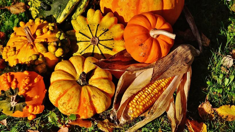 The first Thanksgiving took place right here in Virginia