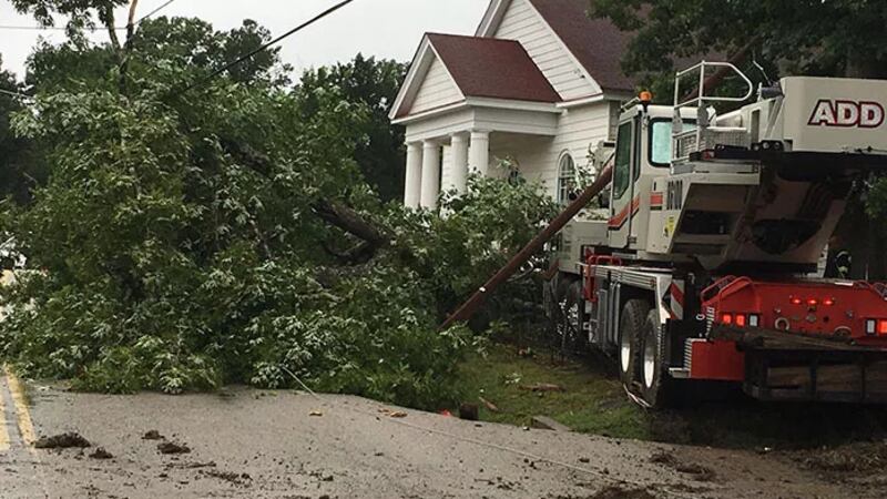 When storms roll through, some big, old trees take a beating; Slamming into power lines, even...