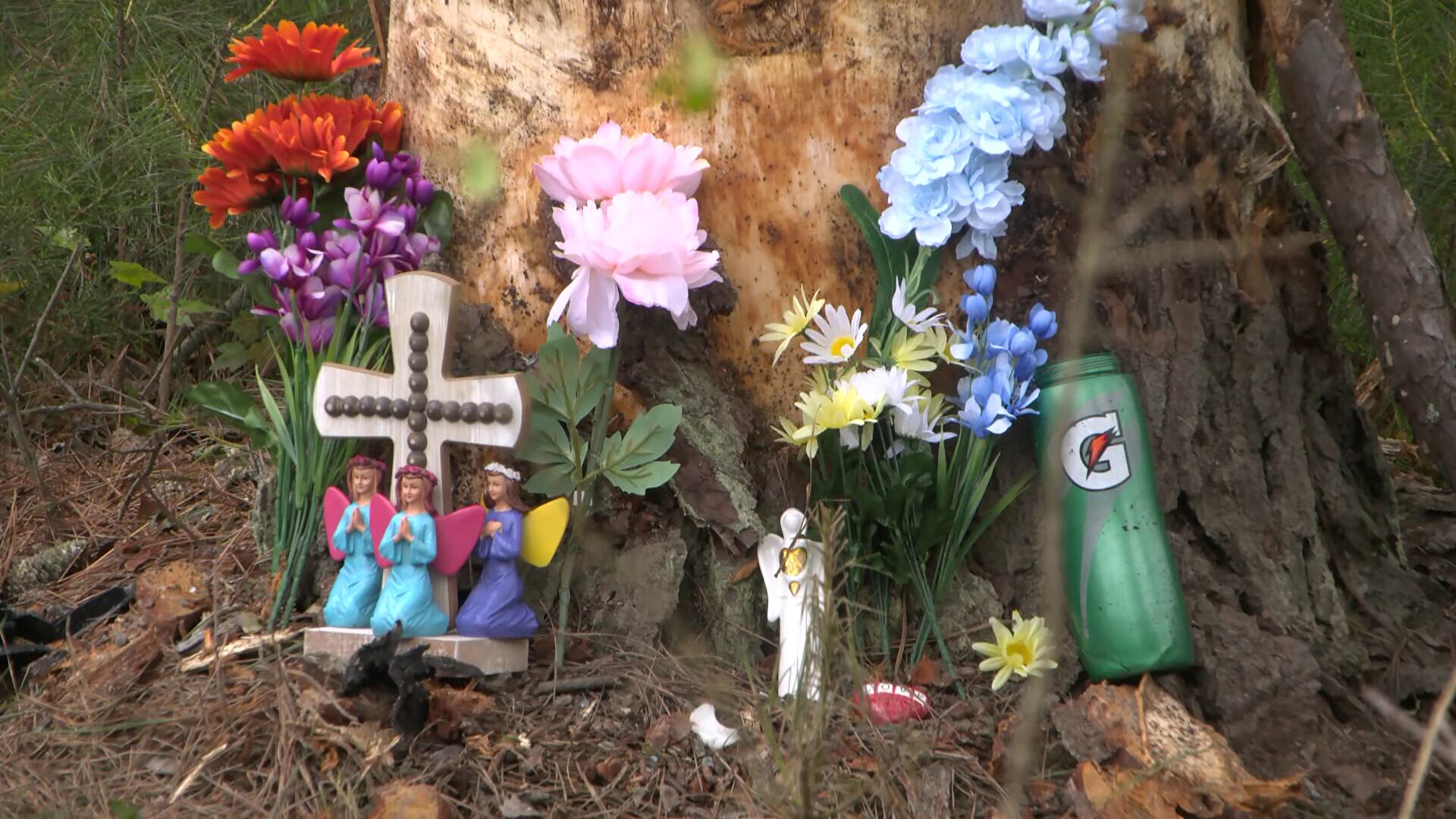'How many accidents does it take?': 2 high school students killed in Goochland crash - Vimarsana News