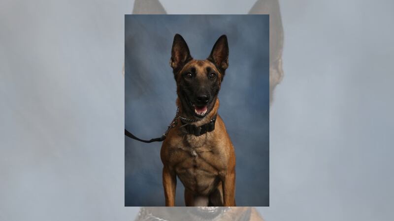 Chesterfield Police says Kona had served with Chesterfield Police for eight and a half years.
