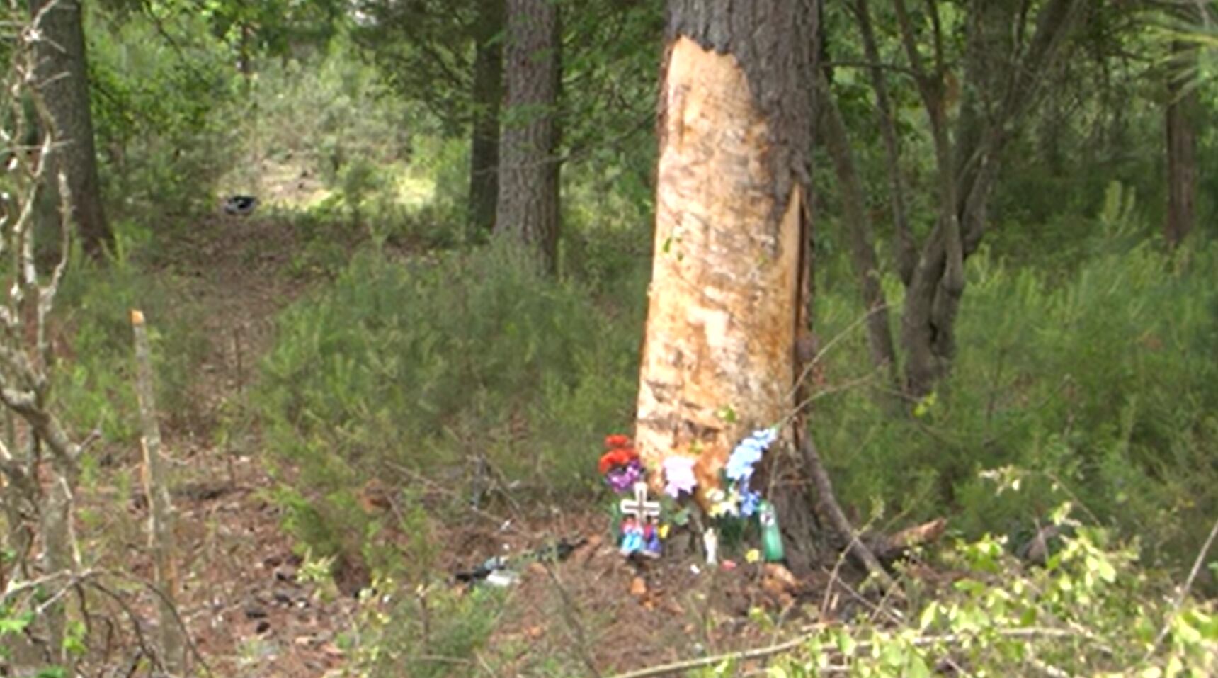 'Keep your friends safe': Teen cope with sudden loss of friends Henrico killed in crash - Vimarsana News