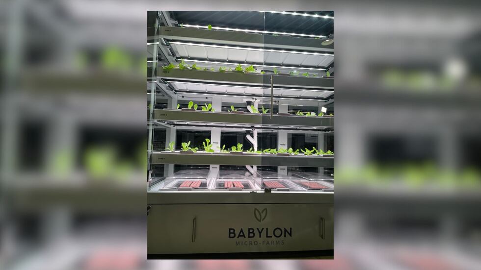 Babylon uses modern technology to empower and help customers grow fresh produce on-site,...