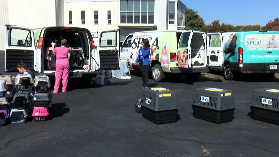 More than 50 shelter pets evacuated from Florida were flown to Richmond.