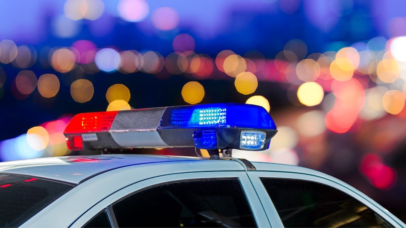 Police car lights