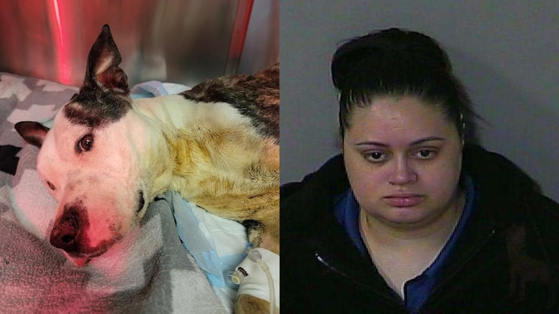 The dog’s owner, 33-year-old Tiffany Camp, was arrested and charged with felony animal cruelty.