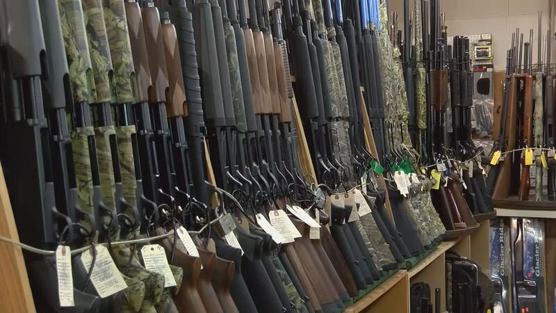 Dinwiddie board of supervisors passes resolution, declaring county a "Second Amendment...