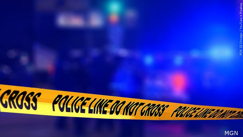 A police officer fatally shot a man early Sunday while conducting a wellness check at a home...