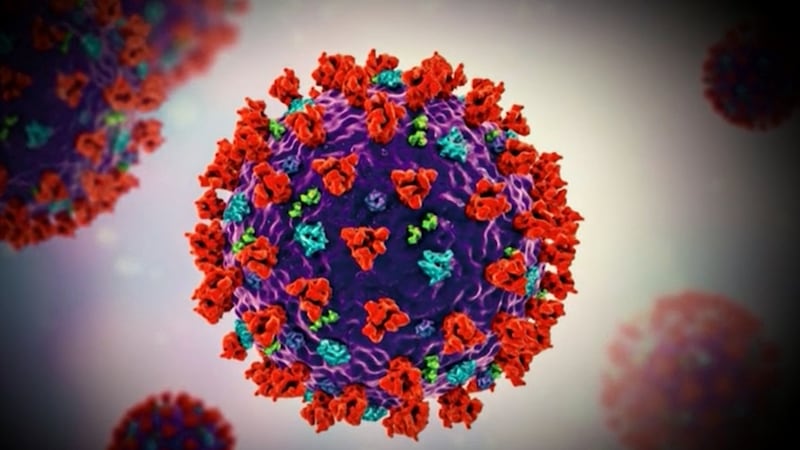 If a person is exposed to COVID-19, but has tested positive for and recovered within the last...