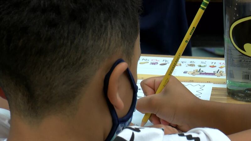 A bipartisan majority in the Virginia Senate has voted to advance legislation that would ban...