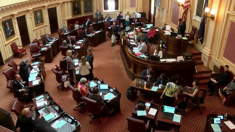 The Virginia Senate will reconvene next Tuesday. (Source: NBC12)