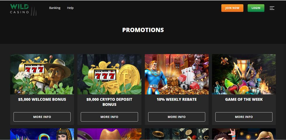 Play Foxy Wild Heart, Online Slots